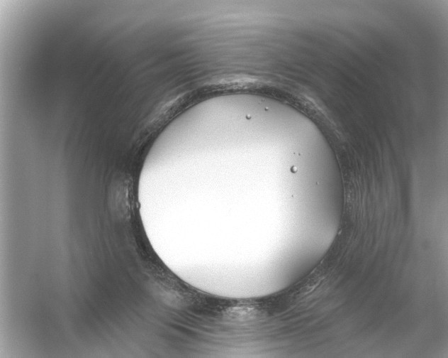 X0000056010119200509162354