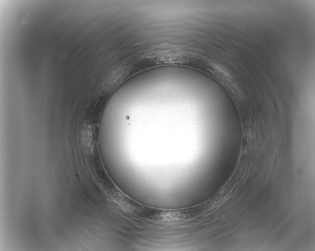 X0000056010121200509162354