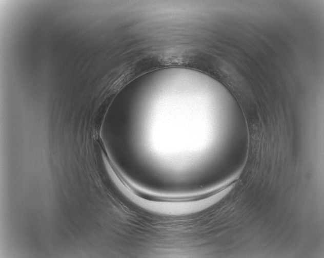 X0000056010125200509162354