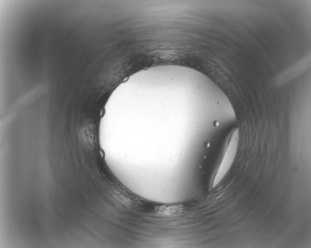 X0000056010135200509162354