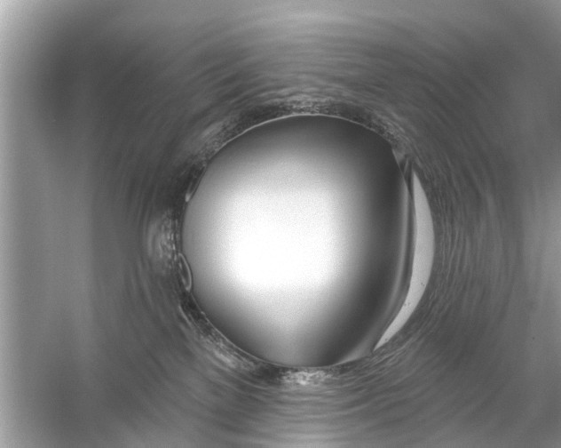 X0000056010137200509162354