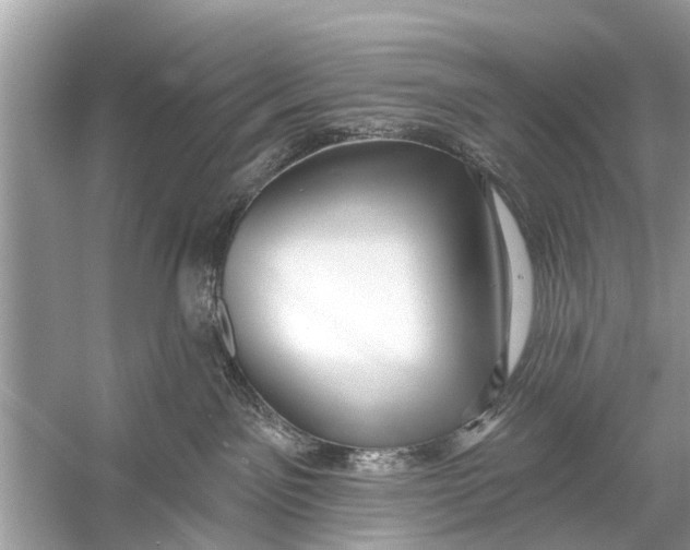 X0000056010141200509162354