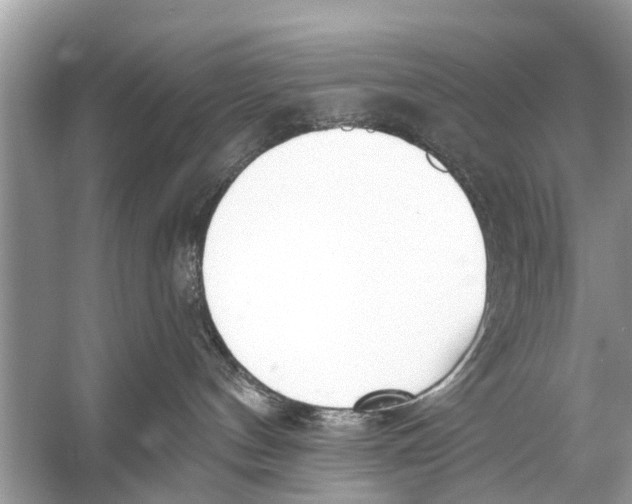 X0000056010144200509162354