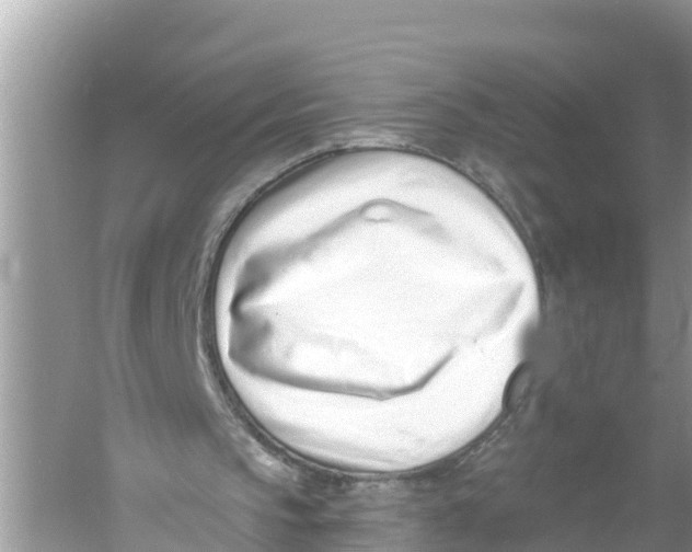 X0000056010145200509162353