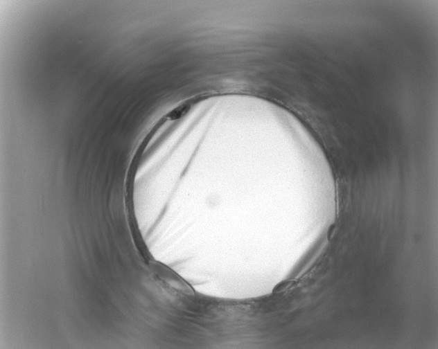 X0000056010147200509162353