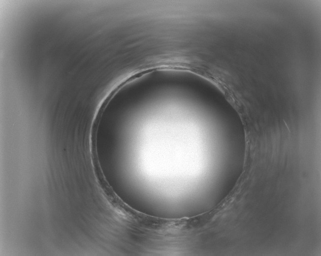 X0000056010148200509162353