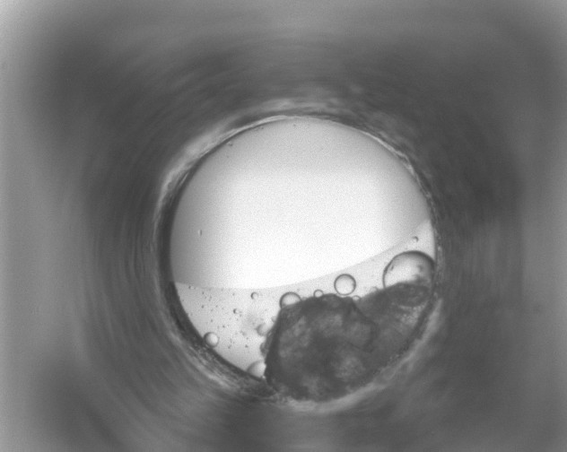 X0000056010149200509162353