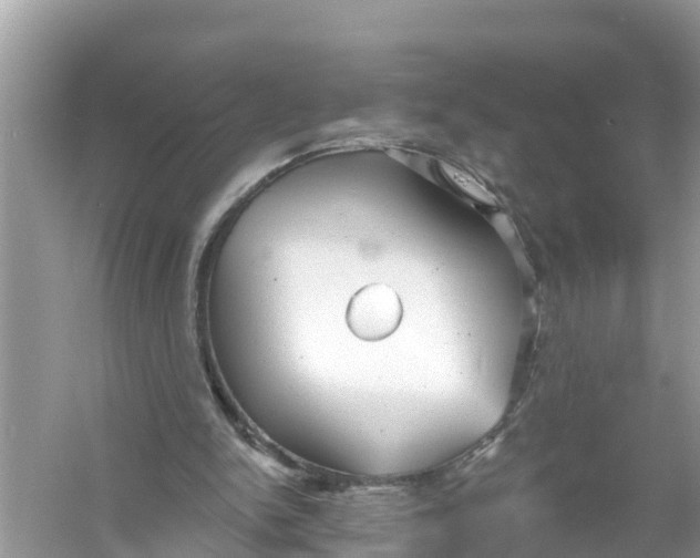 X0000056010150200509162353