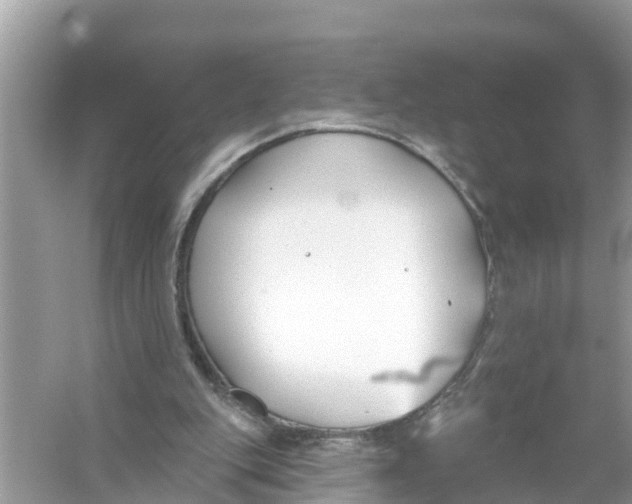 X0000056010151200509162353