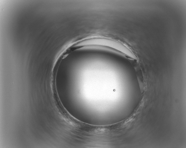 X0000056010152200509162353