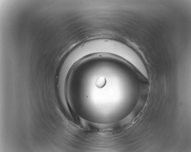 X0000056010154200509162353