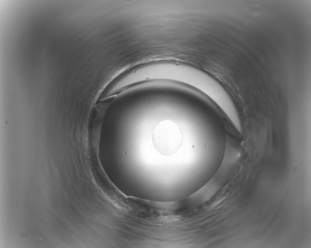 X0000056010156200509162353