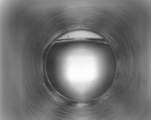 X0000056010158200509162353