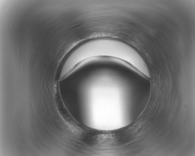 X0000056010160200509162353