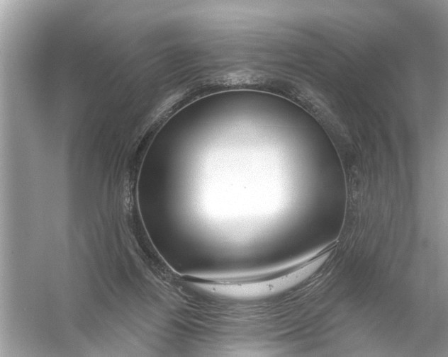 X0000056010164200509162353