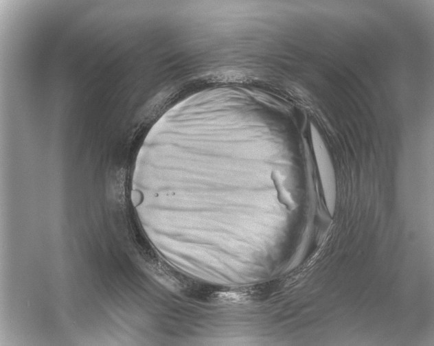 X0000056010167200509162353