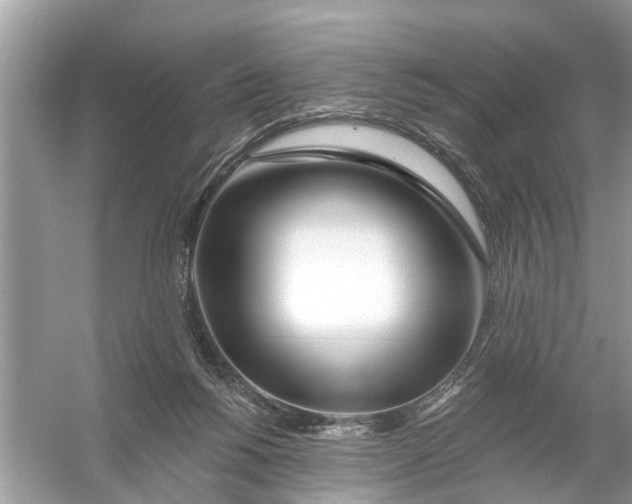 X0000056010168200509162353