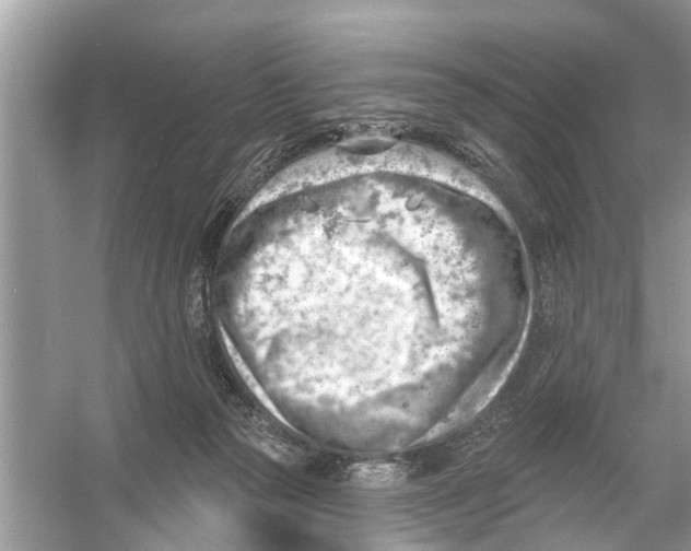 X0000056010169200509162353