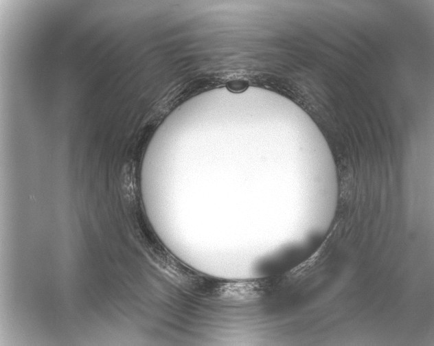 X0000056010179200509162353