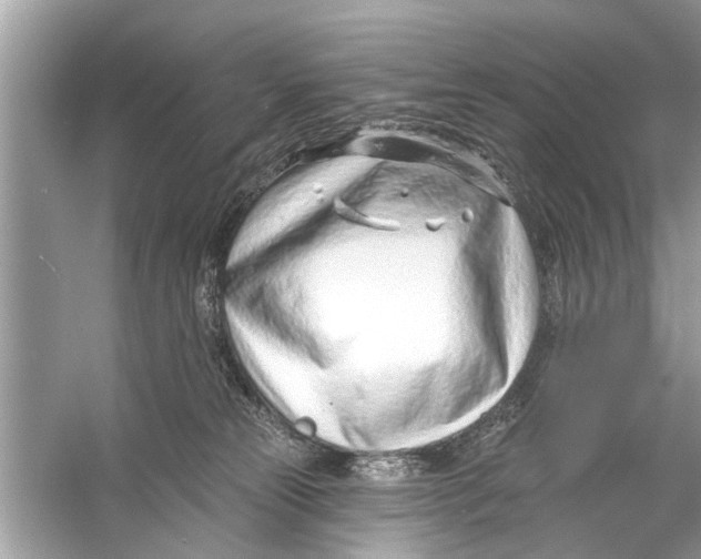 X0000056010181200509162353