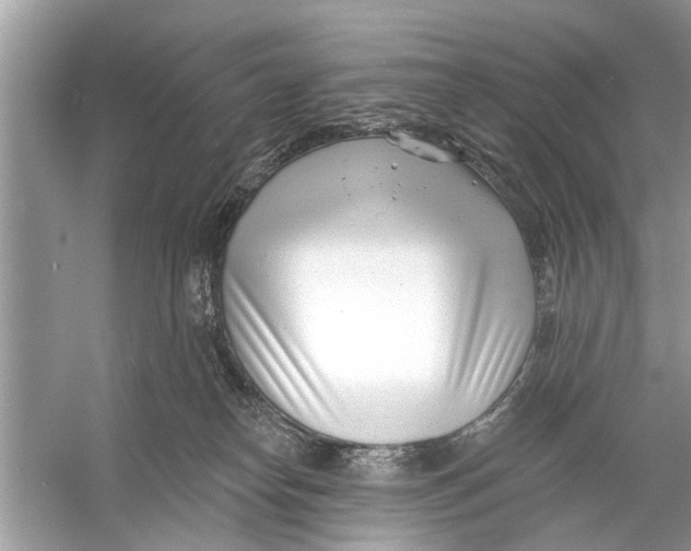 X0000056010182200509162353