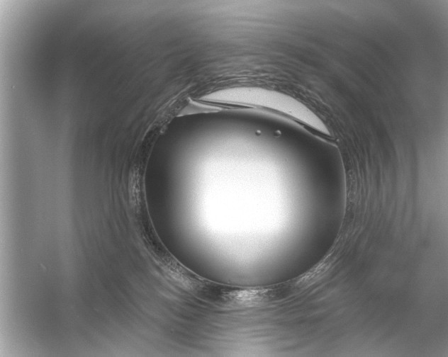 X0000056010184200509162353