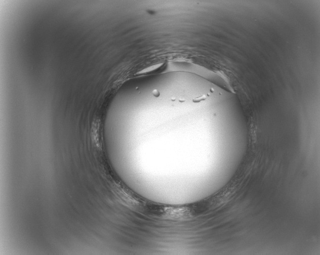 X0000056010185200509162353