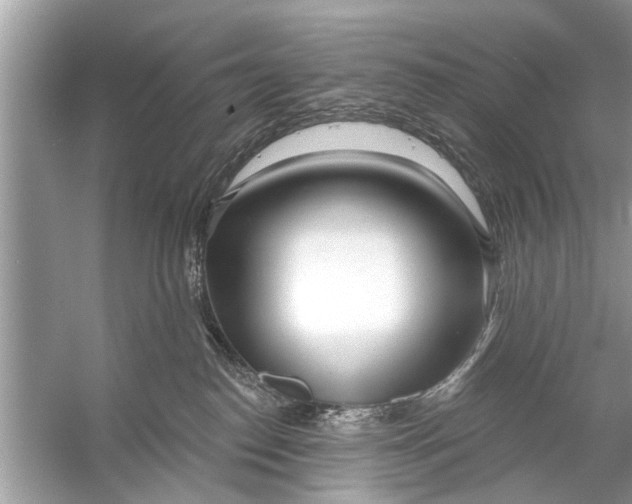 X0000056010186200509162353