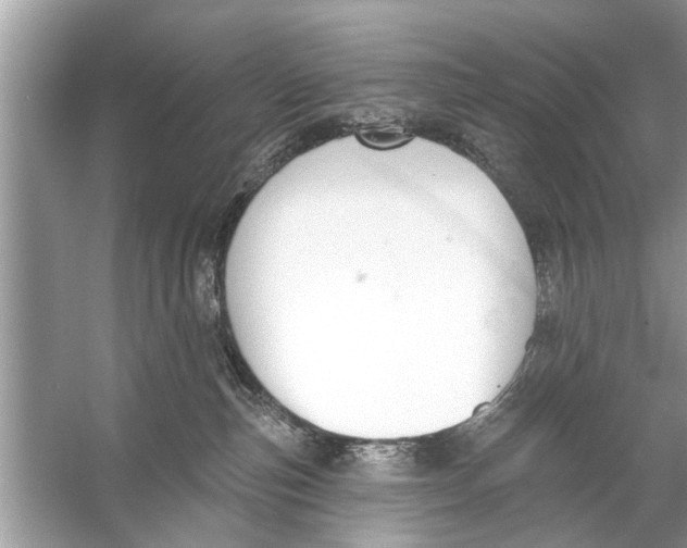 X0000056010187200509162353