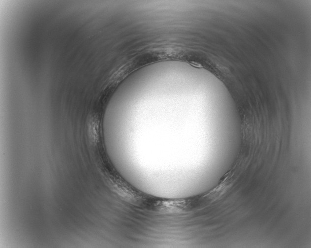 X0000056010188200509162354