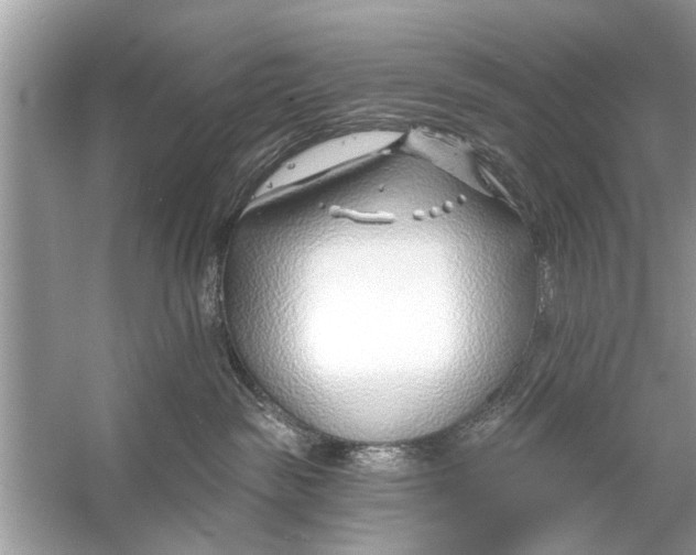 X0000056010189200509162354