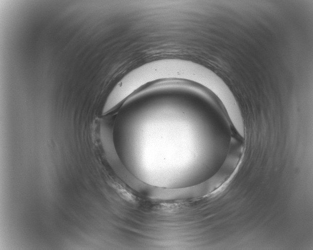 X0000056010190200509162354