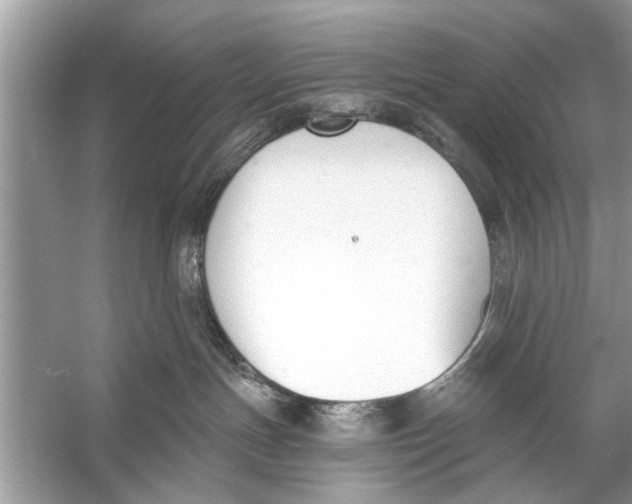 X0000056010191200509162354