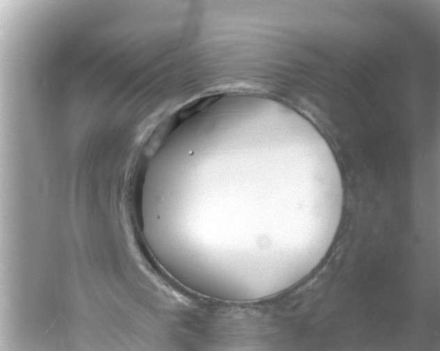 X0000056010193200509162353