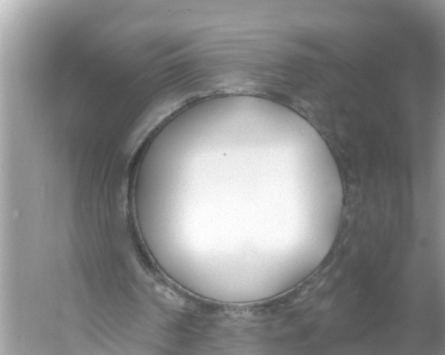 X0000056010194200509162353