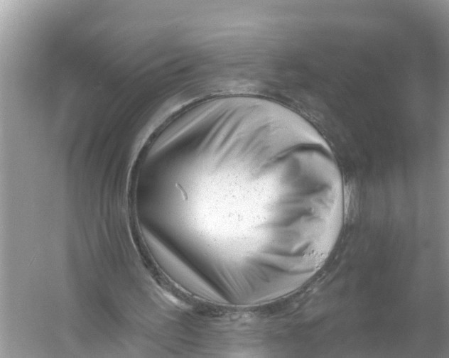 X0000056010195200509162353