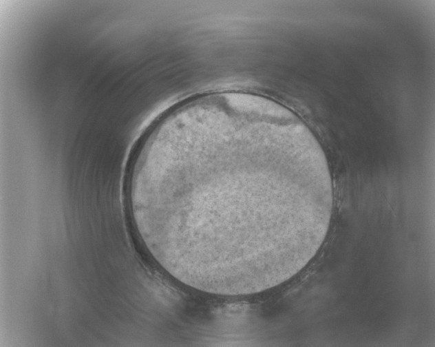 X0000056010196200509162353