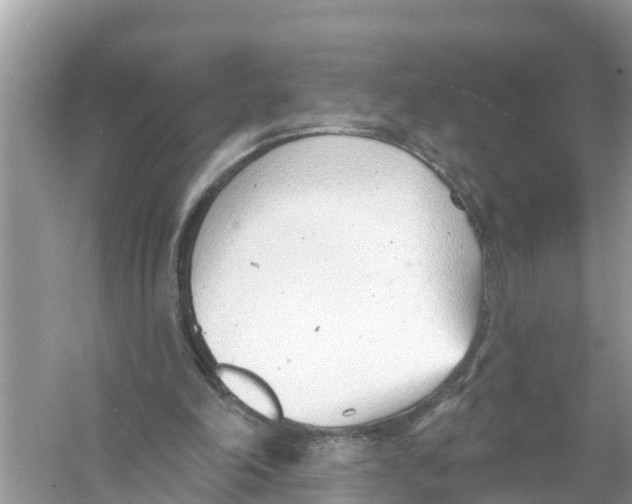 X0000056010198200509162353