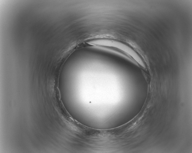 X0000056010201200509162353