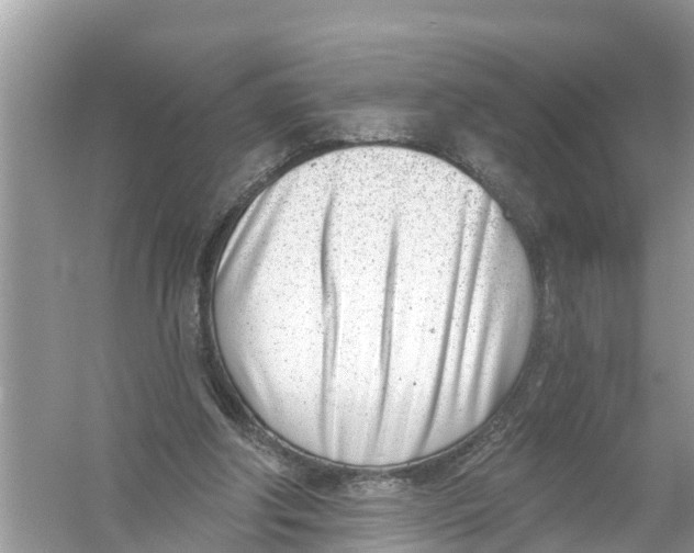 X0000056010202200509162353