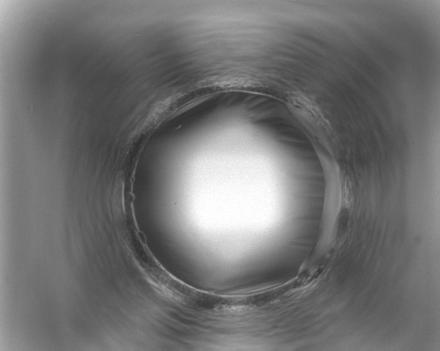 X0000056010205200509162353