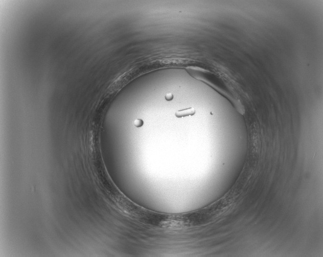 X0000056010211200509162352