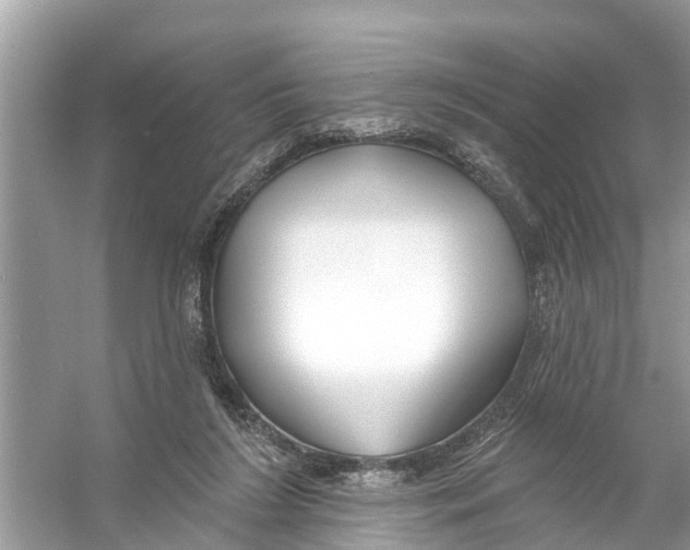 X0000056010212200509162352