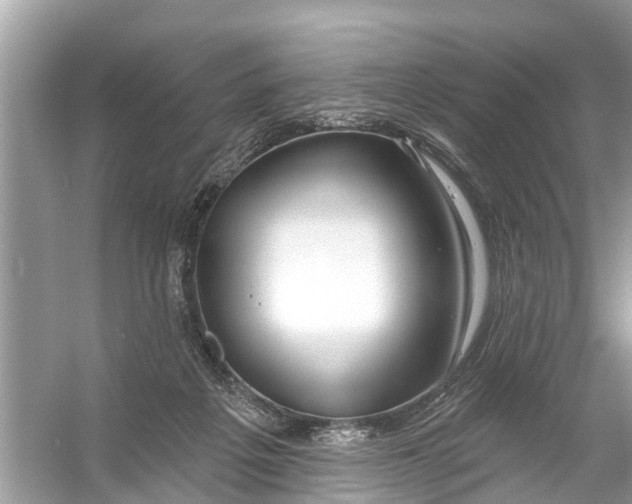 X0000056010217200509162352