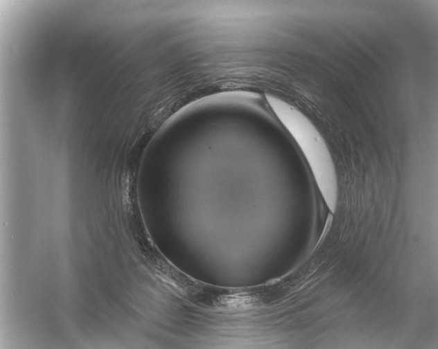 X0000056010219200509162352