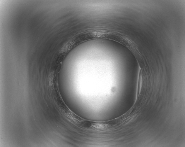 X0000056010221200509162352