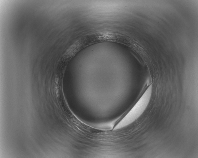 X0000056010223200509162352