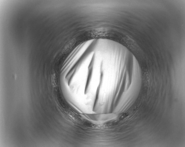 X0000056010224200509162352