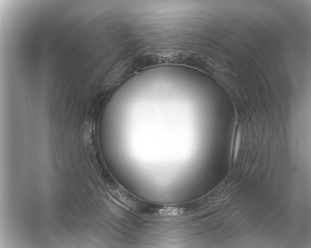 X0000056010225200509162352