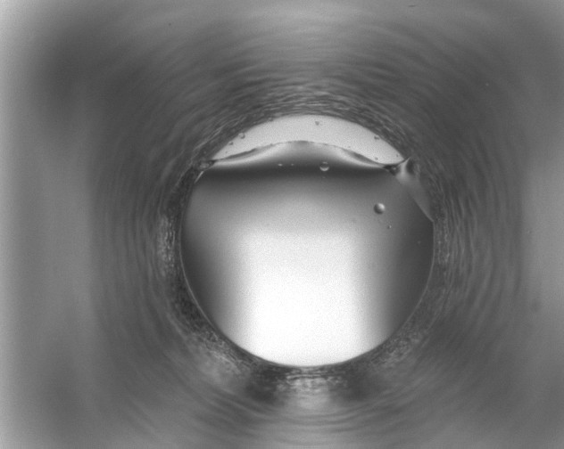 X0000056010228200509162352